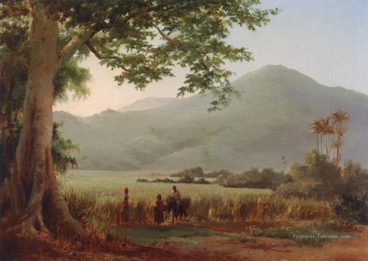 Paysage d’Antilien St Thomas Camille Pissarro Peintures à l'huile